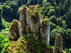 Zwiedzaj Polskę z kijkami – najciekawsze trasy w Polsce Południowej ojcowski park narodowy