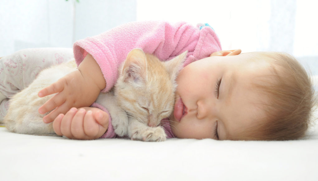 noworodek i kot