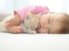 Noworodek w domu… o czym trzeba pamiętać? noworodek i kot