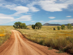 Co trzeba wiedzieć przed kupnem działki? Działka gotowa na dom