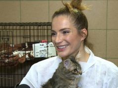 Anna Dereszowska: Koty dają nam dużo radości