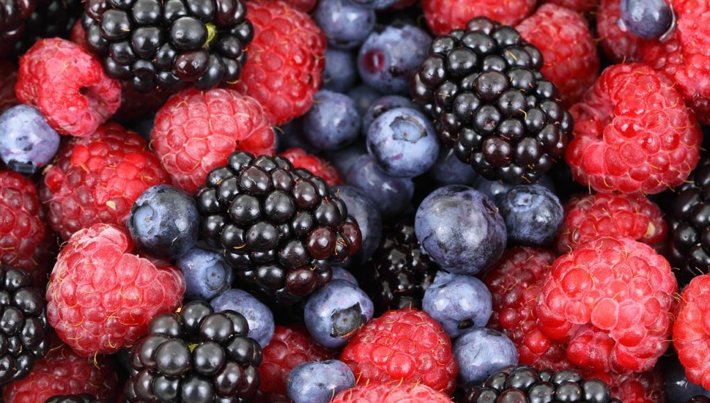 Kolorowe soczyste zdrowe owoce