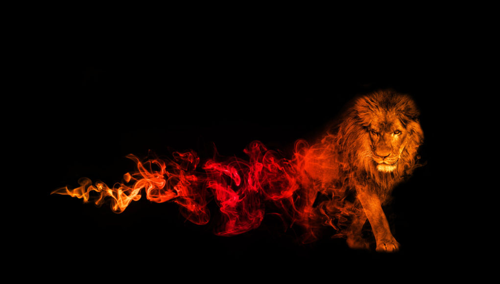 król lew
