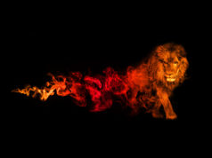 Król Lew – kontrowersyjny powrót król lew