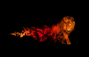 Król Lew – kontrowersyjny powrót król lew