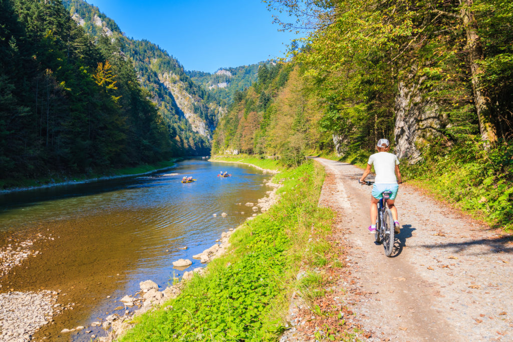 Trasa rtowerowa w Pieninach z widokiem na Dunajec