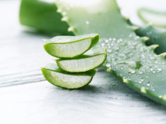 Aloes w codziennej pielęgnacji cery liście aloesu