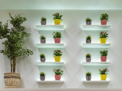 Kwiaty do sypialni – które sprawdzą się najlepiej? kwiaty w kolorowych doniczkach na półkach