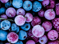 Jakie produkty stracą dobry smak po zamrożeniu? Dowiedz się, której żywności nie powinniśmy mrozić zamrożone owoce leśne