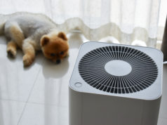 Oczyszczacze i nawilżacze, czyli zadbaj o jakość powietrza w swoim domu oczyszczacz powietrza obok leżącego na podłodze szczeniaka