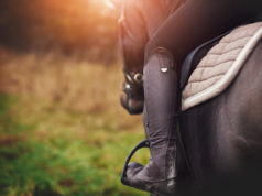 Sztyblety jeździeckie na lato – pozostać przy butach wysokich, czy kupić sztyblety za kostkę? sztyblety jeździeckie