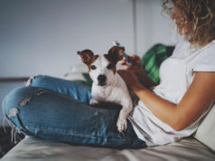 Jakie rasy psów są idealne do małego mieszkania? kobieta na kanapie z psem na kolanach