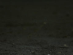 Ważne premiery serialowe – na jakie produkcje niecierpliwie czekamy? Dom z papieru leżąca maska