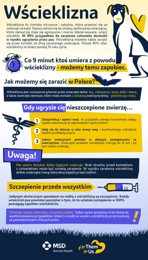 infografika wścieklizna