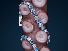 Finaliści Projektu Packshot od Answear zostali już wyłonieni – zobacz najbardziej zaskakujące kadry fot.: MARIUSZ TOKAJUK