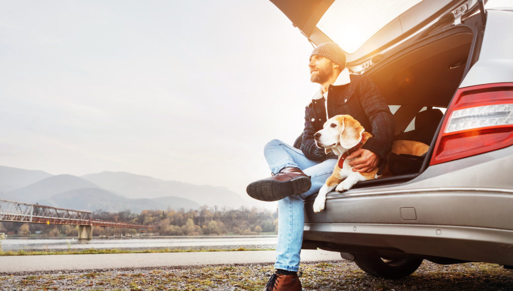 brodaty mężczyzna siedzący w bagażniku samochodu z psem