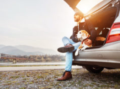 Hatchback, sedan, kombi, coupe i inne – jak wybrać samochód z odpowiednim dla nas typem nadwozia? brodaty mężczyzna siedzący w bagażniku samochodu z psem