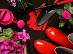 Niezbędne narzędzia i akcesoria dla wszystkich miłośników prac w ogrodzie kolorowe narzędzia ogrodowe