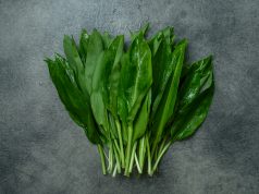 Czym jest czosnek niedźwiedzi? Ramson- czosnek niedźwiedzi