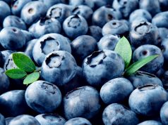 Borówki amerykańskie – jakie właściwości mogą zaoferować te owoce? borówki amerykańskie