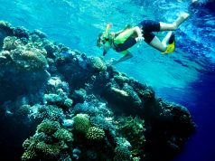 Nurkowanie – pasja dla wybranych? nurkowanie rafa koralowa