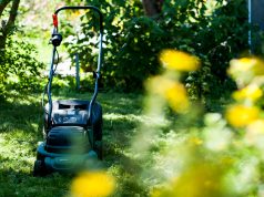Trzy argumenty za zakupem kosiarki akumulatorowej Kosiarka ogród koszenie trawy