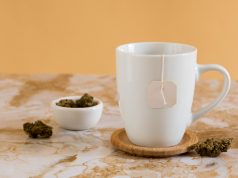 Żywność z konopi – czy warto? żywność z konopi