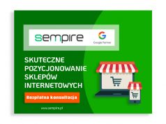 Pozycjonowanie sklepów internetowych (SEO) pozycjonowanie sklepów