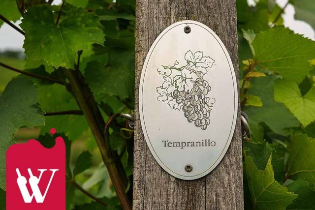 tempranillo