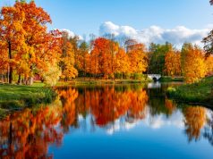 Wybieramy idealny domek letniskowy na Mazurach domek na Mazurach