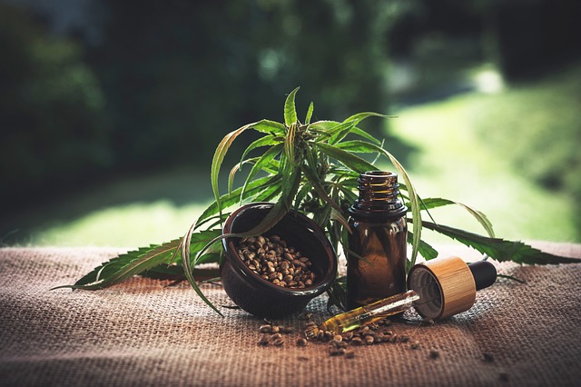olejki cbd olejki cbd