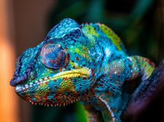 Psychologia barw w marketingu i reklamie psychologia koloru