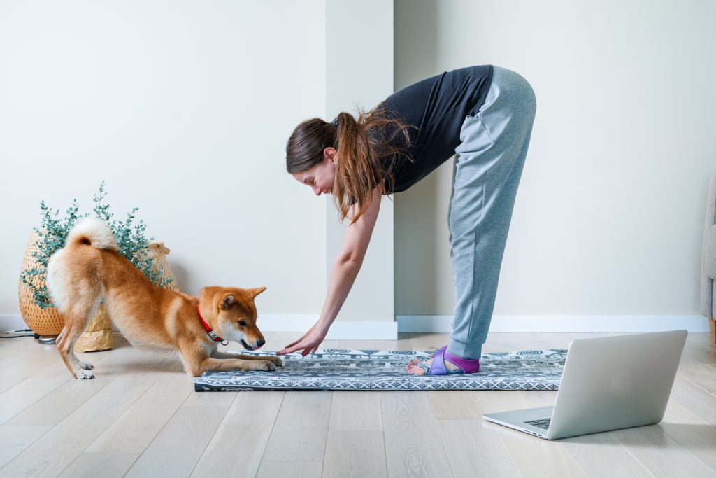 Doga  Doga yoga