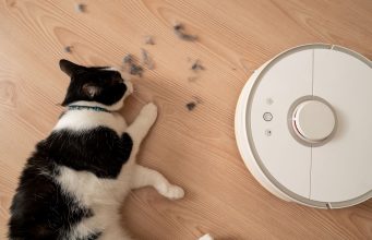 Roboty w domowych obowiązkach – przyszłość sprzątania robot sprzątający kot