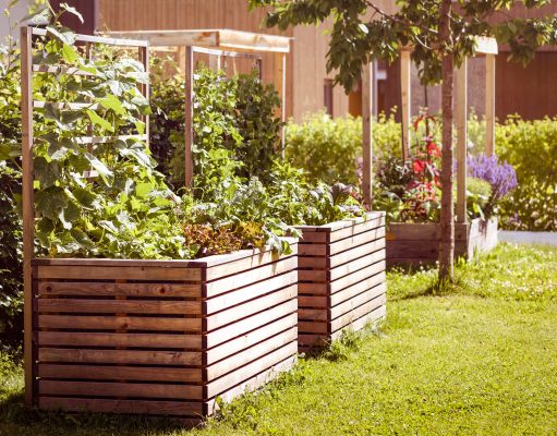 Miejskie ogrodnictwo dla zdrowia i spokoju zieleń miejska