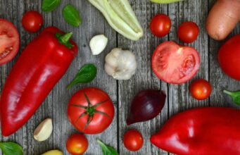 Dieta pudełkowa z wyborem menu – jak dostosować posiłki do swoich potrzeb? dieta pudełkowa