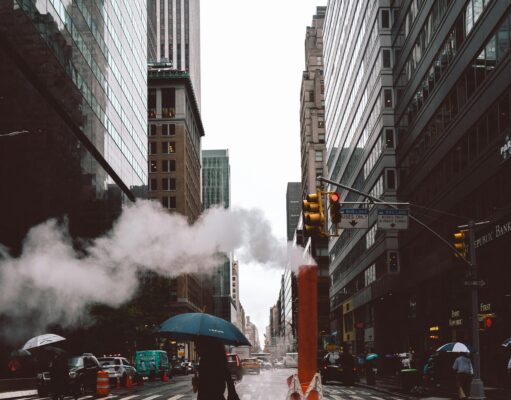 Damskie kalosze Avenew – dlaczego warto mieć je w swojej szafie nie tylko jesienią? kalosze modne